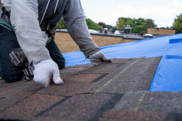 Quick and Trustworthy Emergency Roof Repair Services in Mount Dora, FL